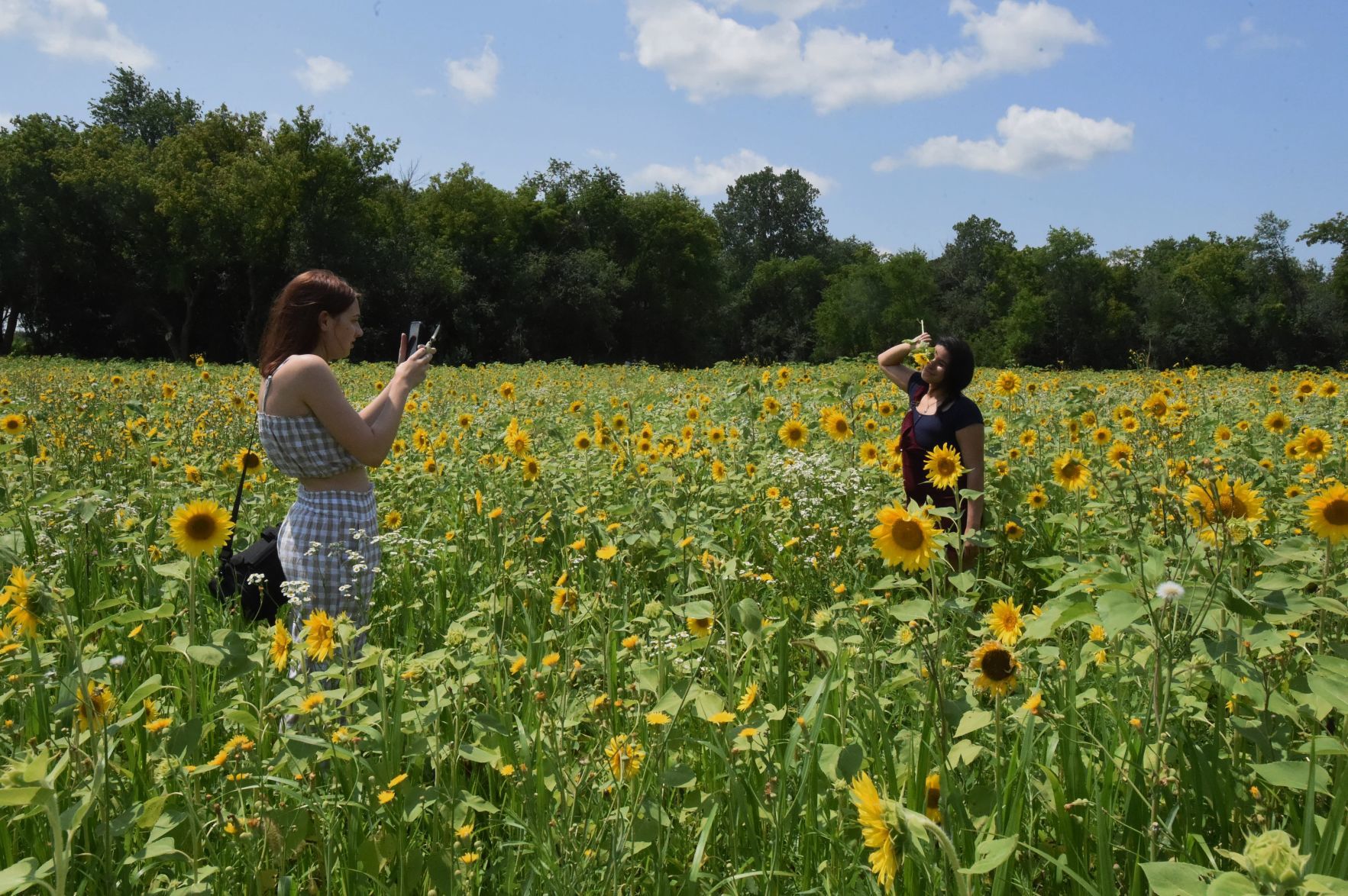 Photo shoot